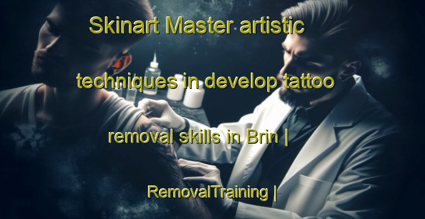 Skinart Master artistic techniques in develop tattoo removal skills in Brin | RemovalTraining | RemovalClasses | SkinartTraining-Ukraine